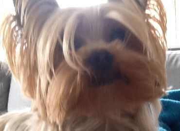 C5DK is testing the blog 2